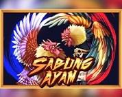 Sabung Ayam